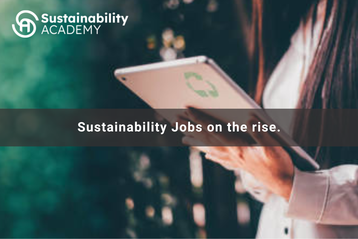 Les emplois dans le domaine du développement durable sont en hausse