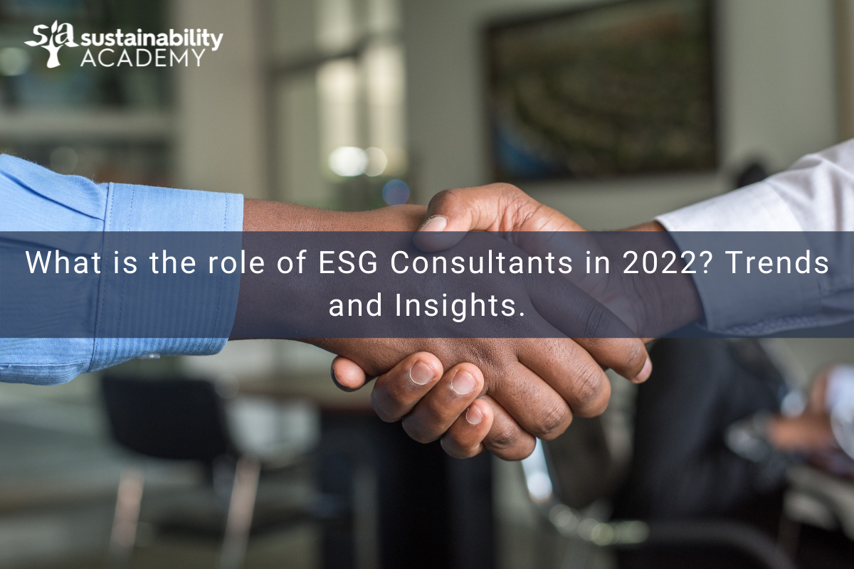 What is the role of ESG Consultants in 2022? Trends and Insights.