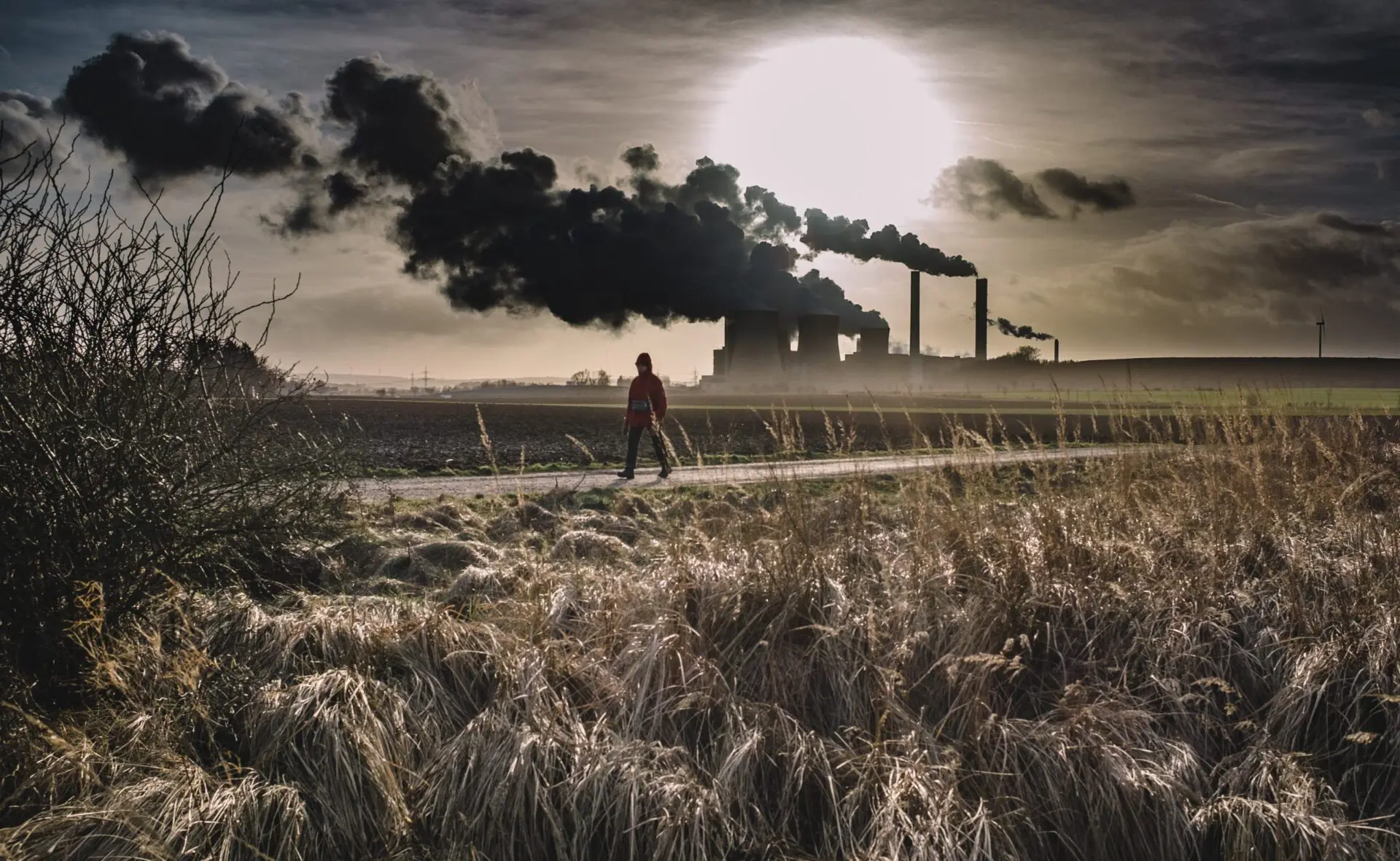 Centrarse en estrategias de baja emisión de carbono: el caso del Gobierno británico.