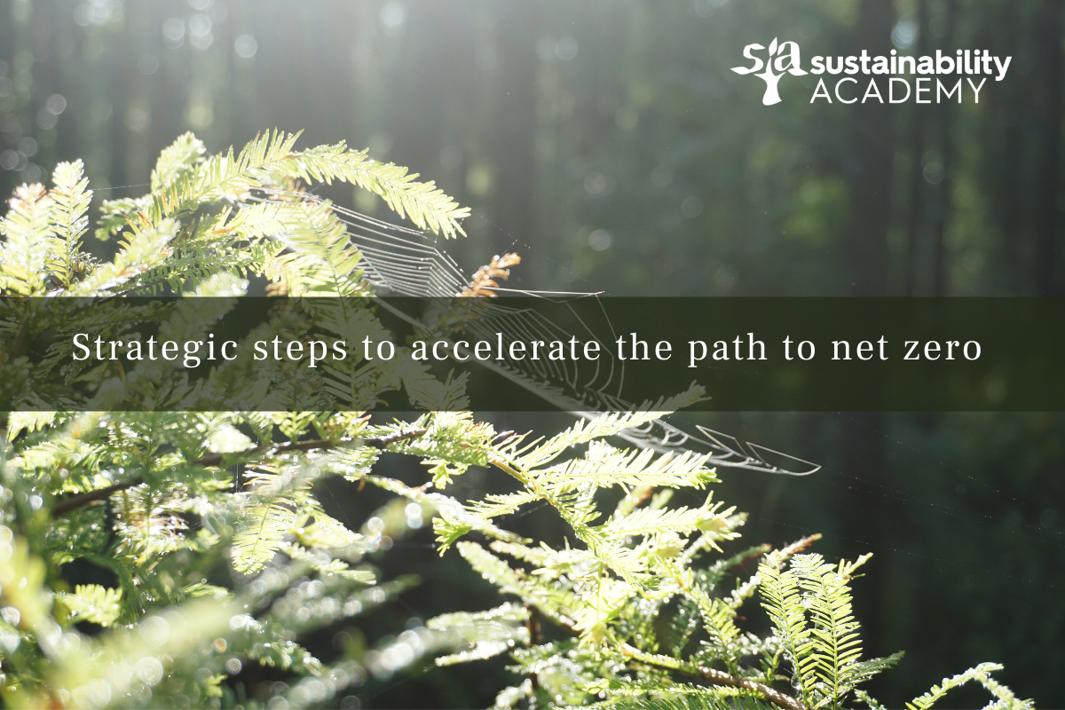 4 Strategic steps to accelerate the path to net zero