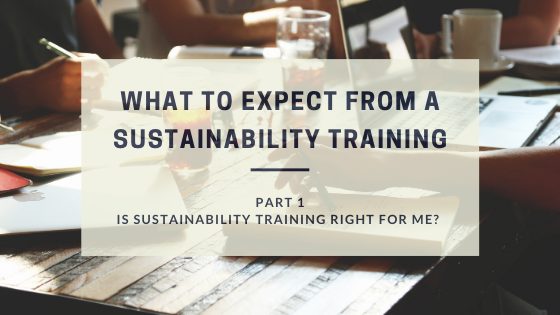 Defining a well-structured sustainability training
