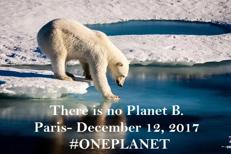 Les principales institutions financières font pression pour une plus grande divulgation d'informations sur le climat lors de la récente réunion de Paris