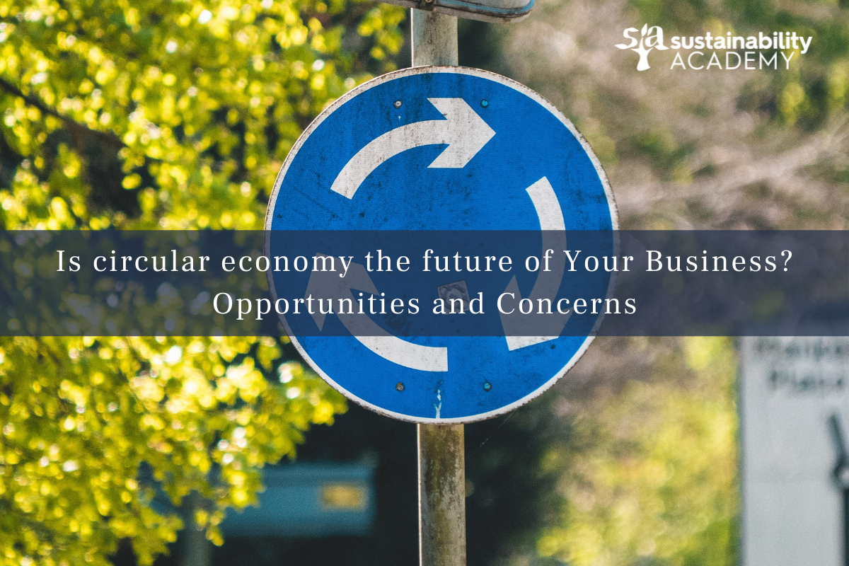 Is circular economy the future of Your Business? Opportunities and Concerns