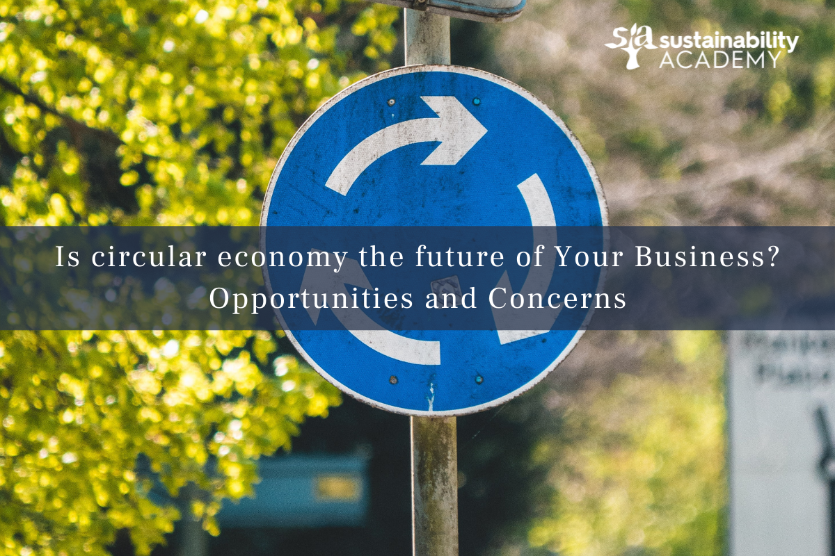 ¿Es la economía circular el futuro de su empresa? Oportunidades y preocupaciones