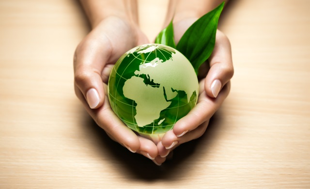 The Future is Green for Sustainability Practitioners