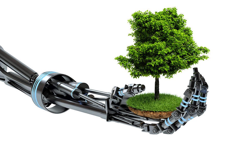 AI and Sustainability: the present and future interrelationship
