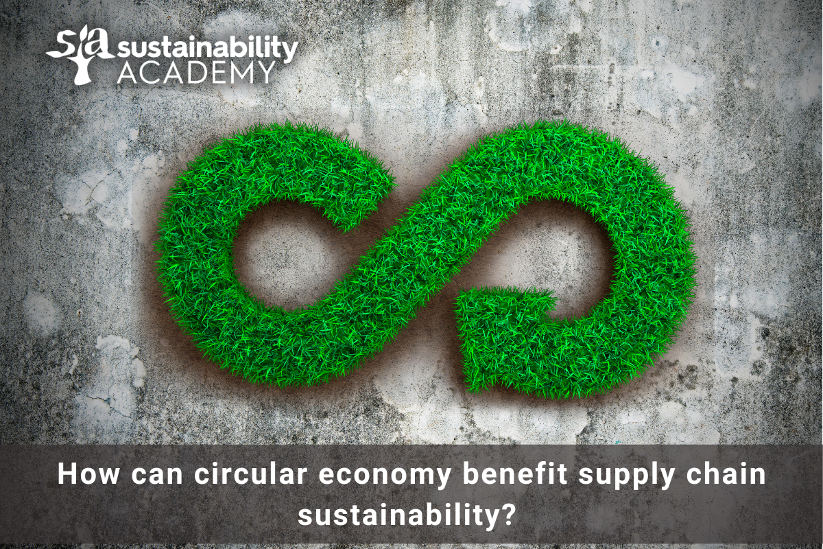How can circular economy benefit supply chain sustainability?
