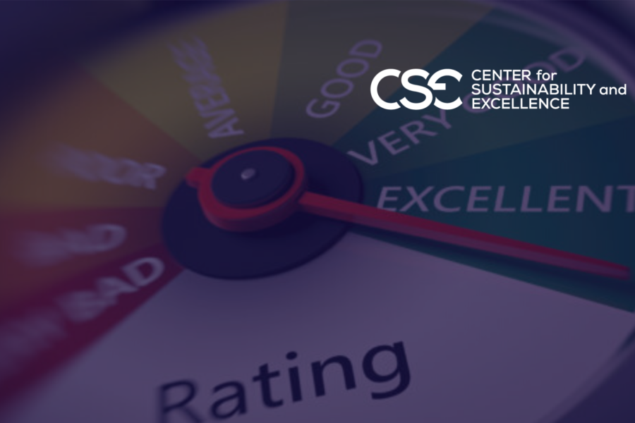 Wasted Effort Could Affect ESG Rankings. The importance of Materiality Assessment