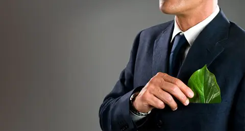 Cómo conseguir el trabajo de sus sueños en sostenibilidad