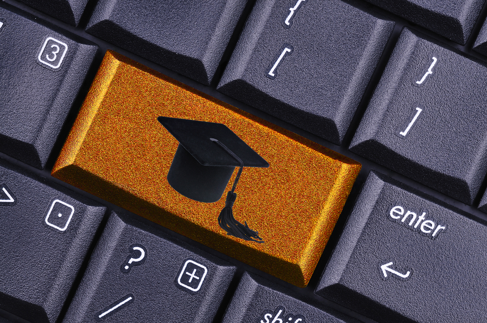 Is Professional Online Education on Sustainability the new trend?