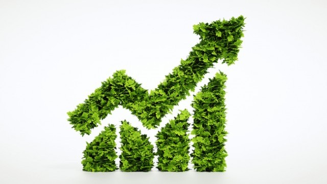 Does Sustainability Reporting defend its throne against Integrated Reporting?