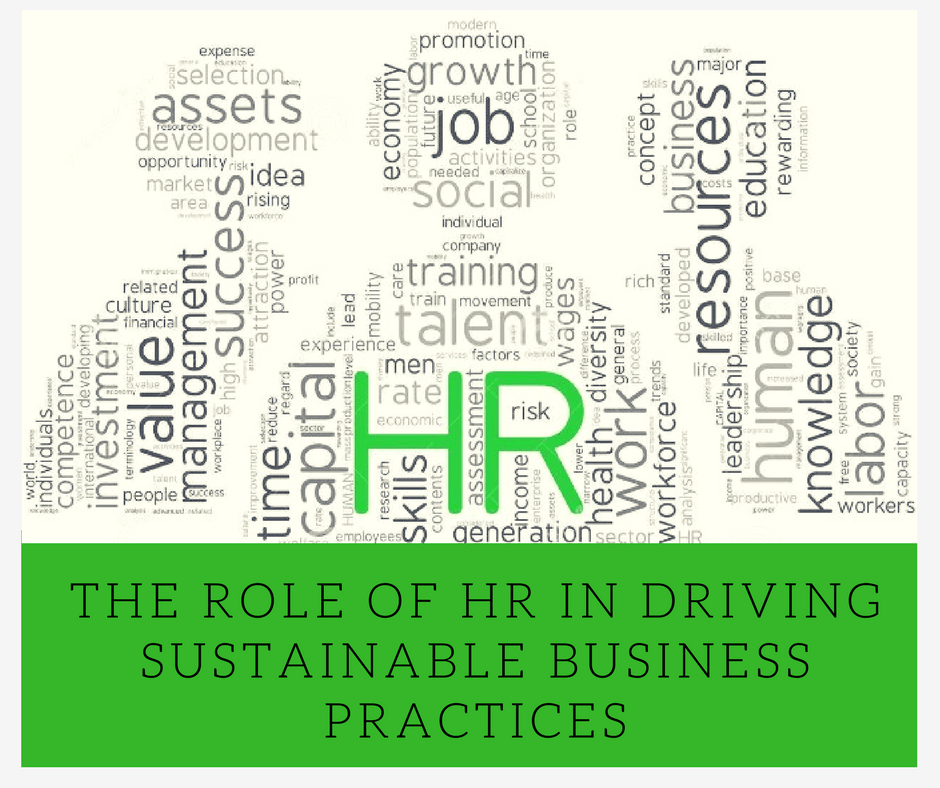 The Role of HR in Driving Sustainable Business Practices
