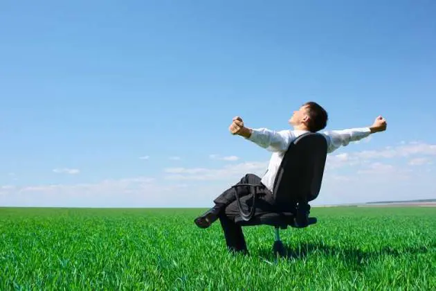 Avez-vous ce qu'il faut pour devenir un responsable en chef du développement durable (CSO) en 2018 ?