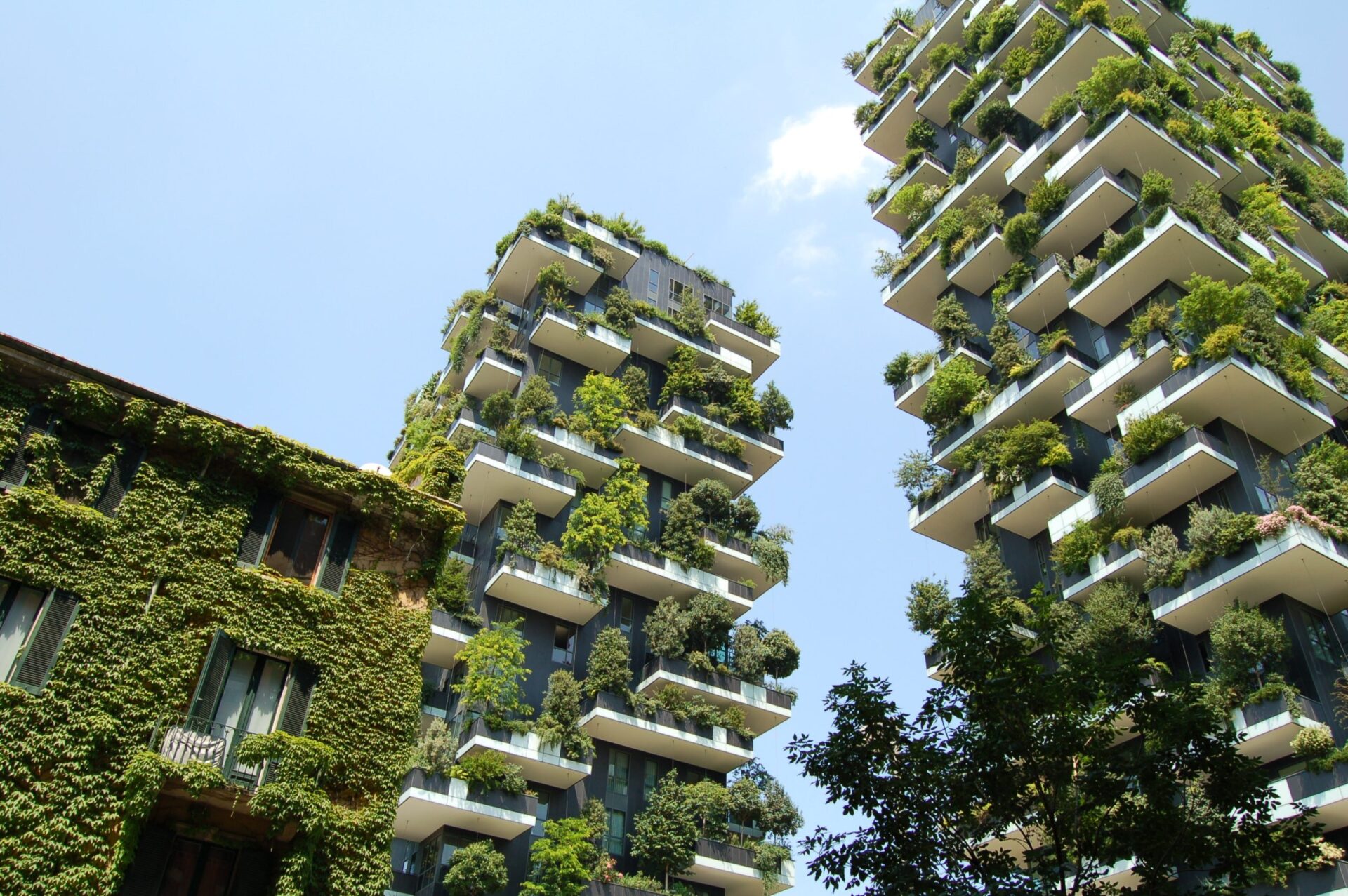 Canada leads by example in sustainability: Green Buildings and their importance on meeting SDG’s