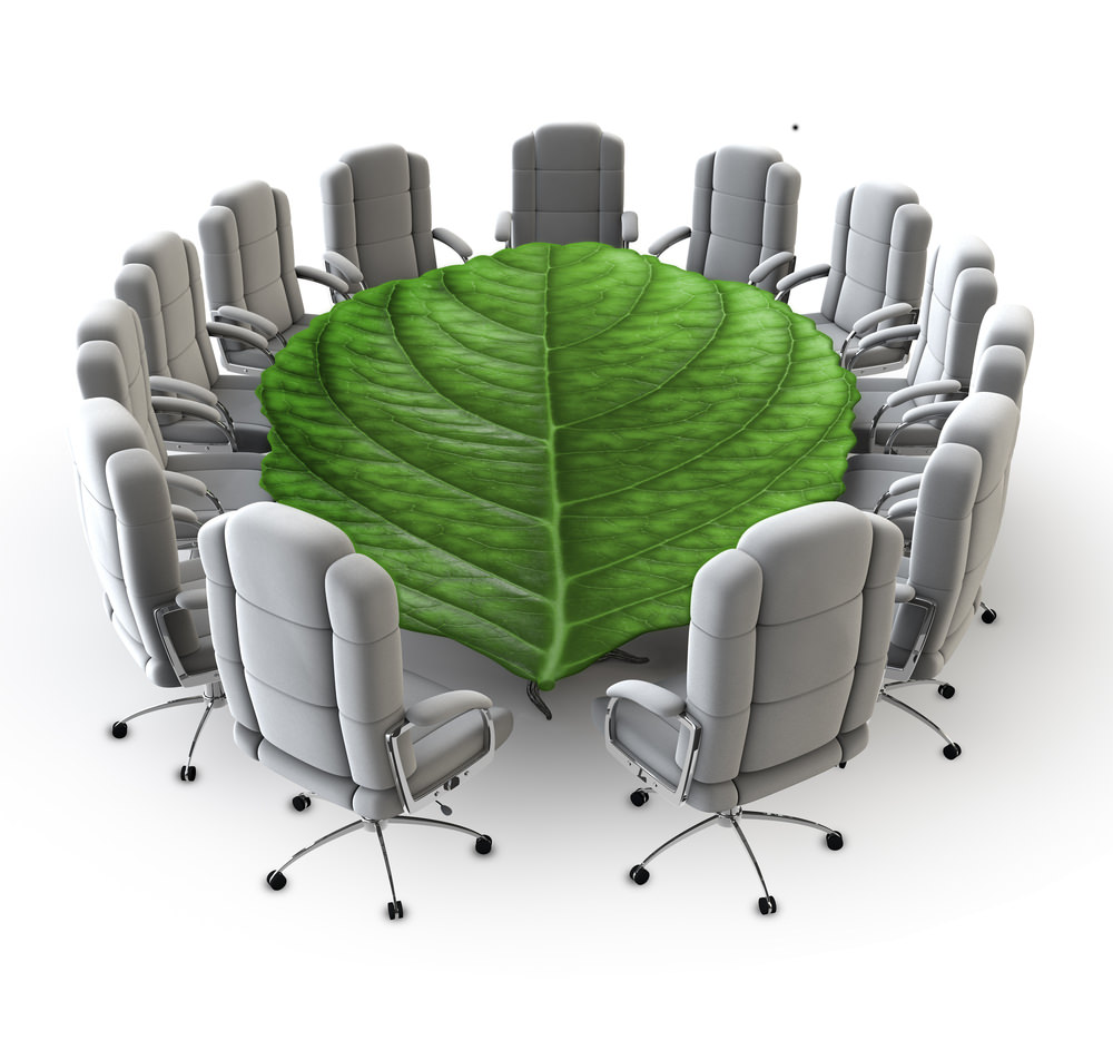 Corporate Sustainability: Measuring its Value