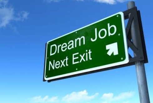 Build your Sustainability Career Part 4: Land your dream Job!