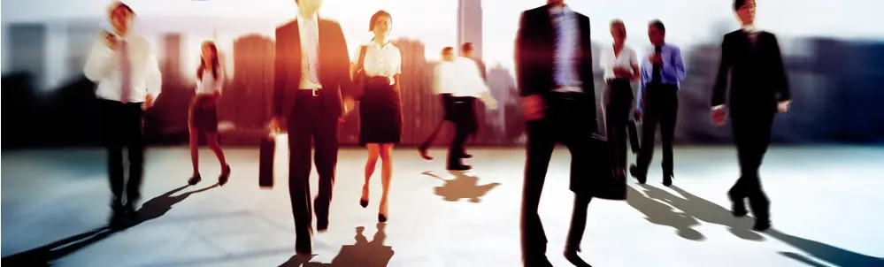 ¿En qué medida cumple las expectativas del empresario?