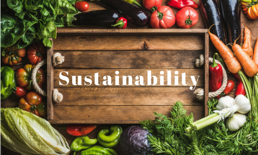 Toronto Confronts Global Food Challenges: SDGs #2, #3 and #11