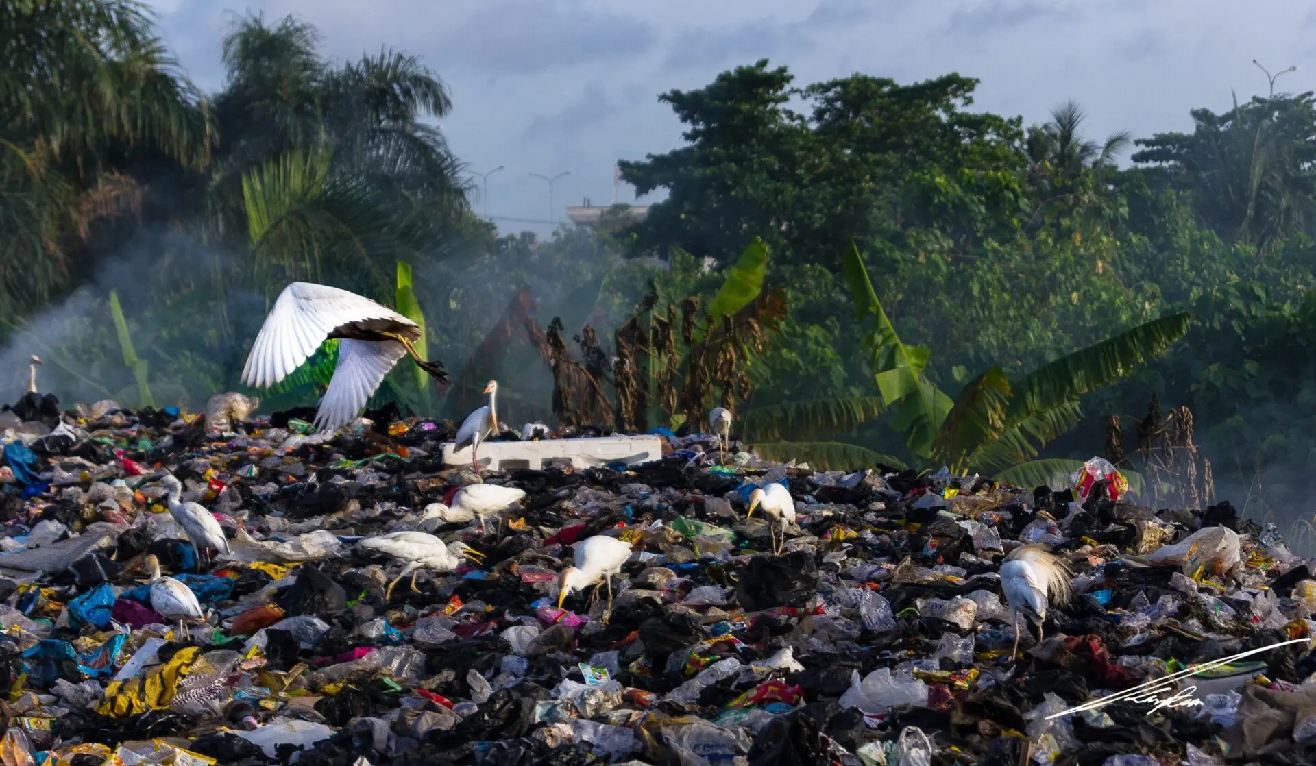 World Environment Day 2018 – Connecting everyone to beat plastic pollution.