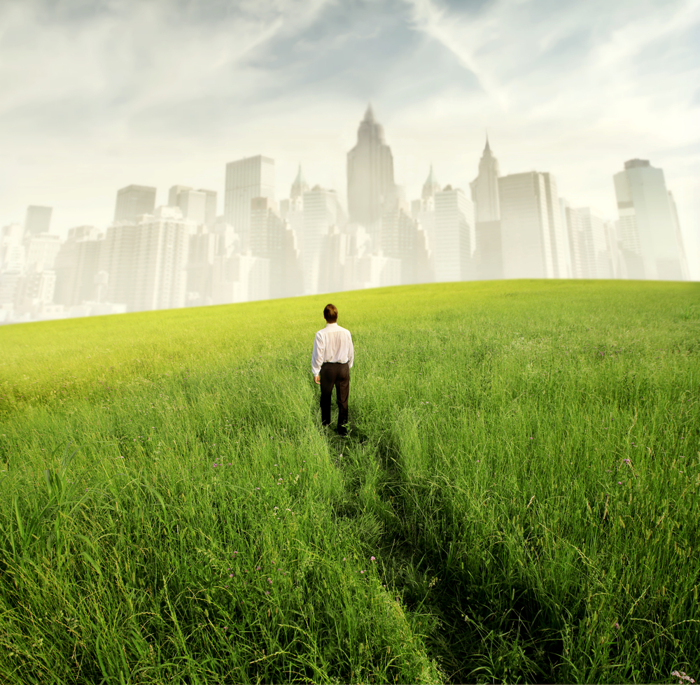 Build Your Sustainability Career Part 2: Career Path