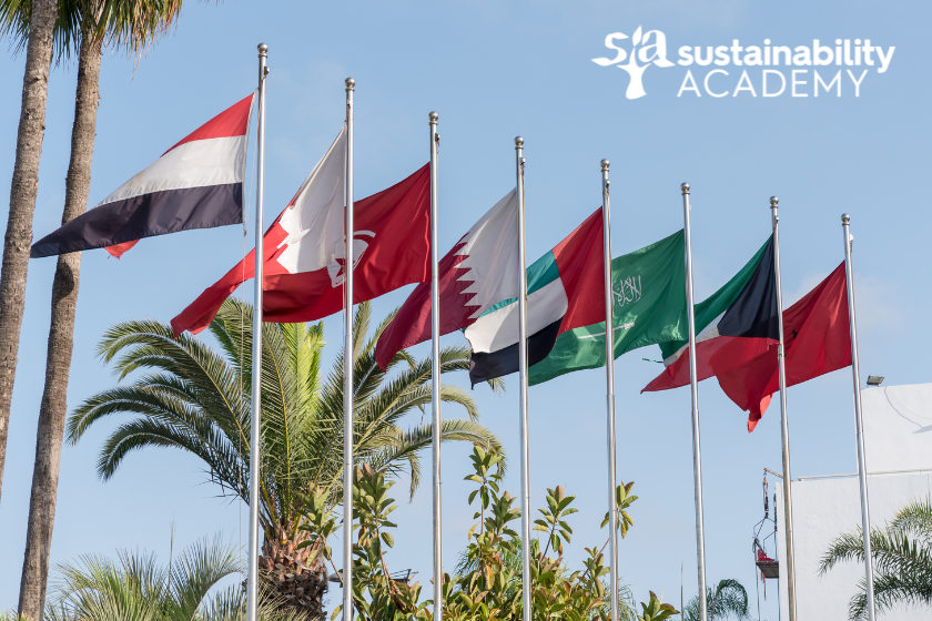 6 Ways MENA Corporations Can Set Path for Sustainability Success