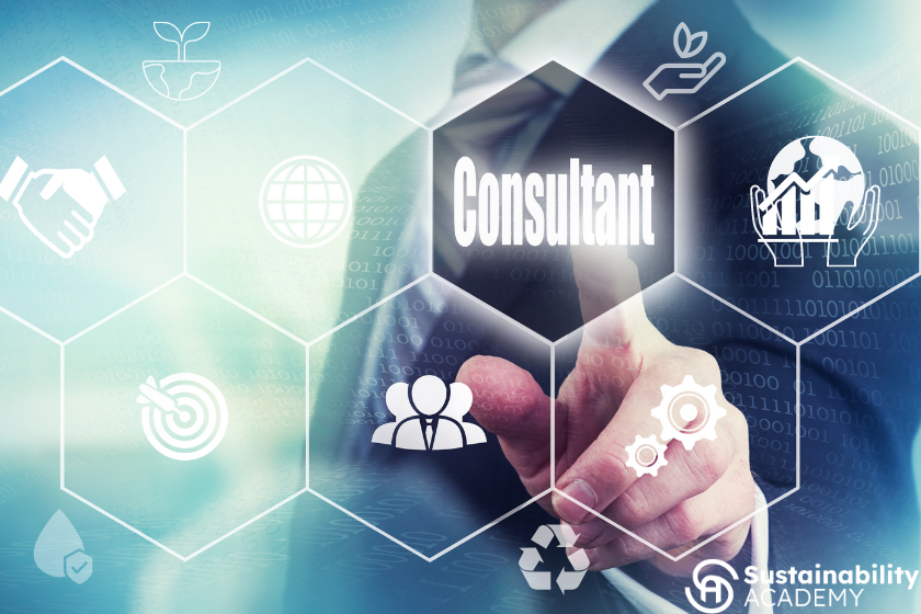 Sustainability consulting market on the rise