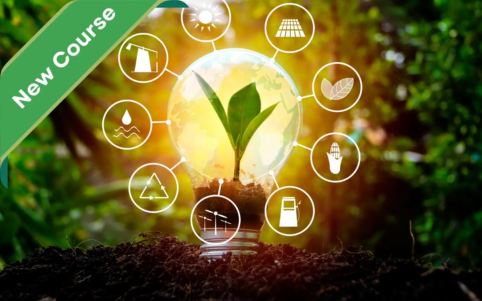 Renewable Energy Fundamentals