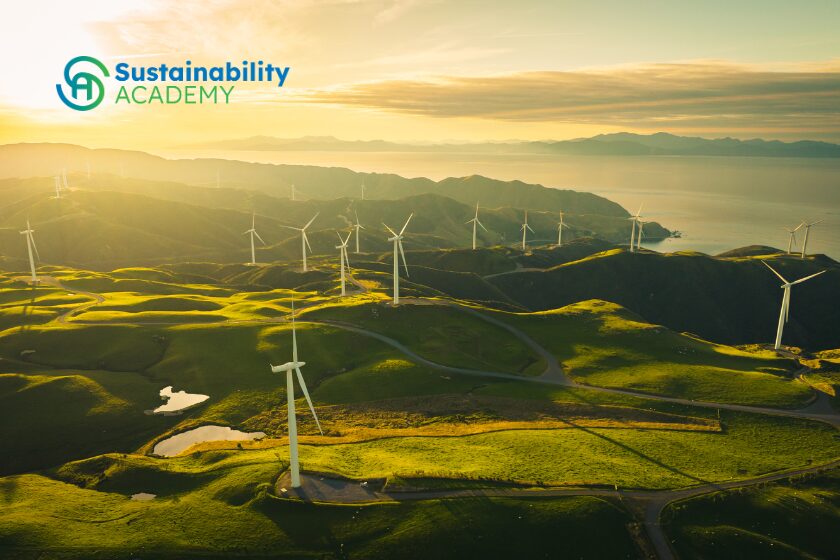 Renewable Energy Fundamentals Powering the Path to Net Zero