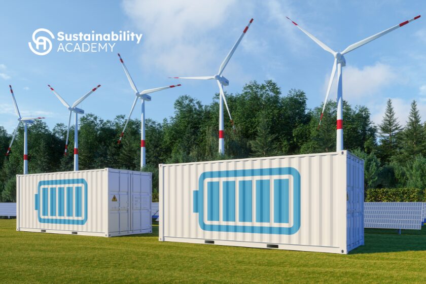 Tendencias en energías renovables para 2025: Lo que los profesionales deben saber