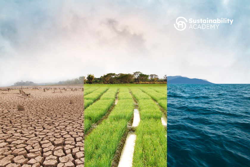 A Flooded Summer: Climate Risk in the Age of Extreme Weather