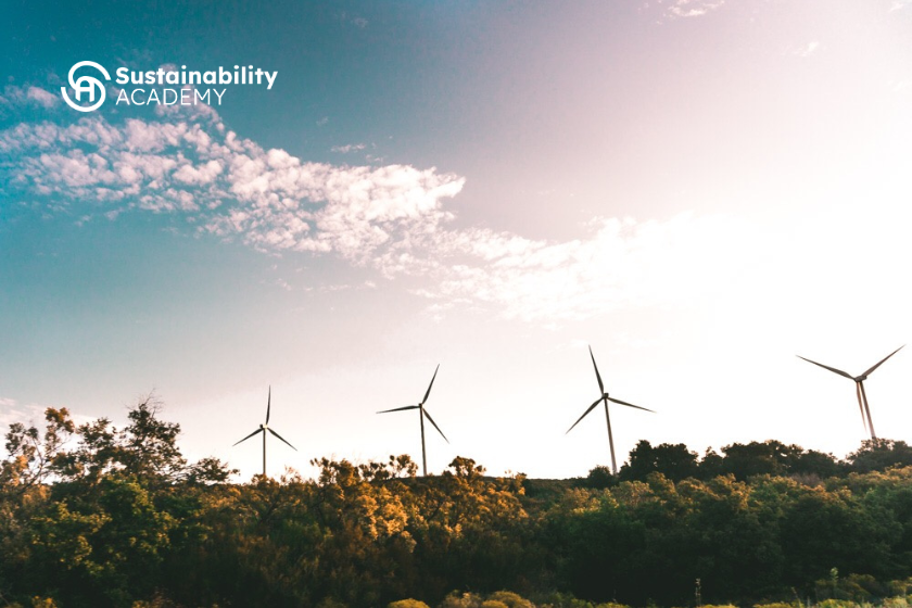 EFRAG’s 2025 Report: What’s Ahead for ESRS and Double Materiality