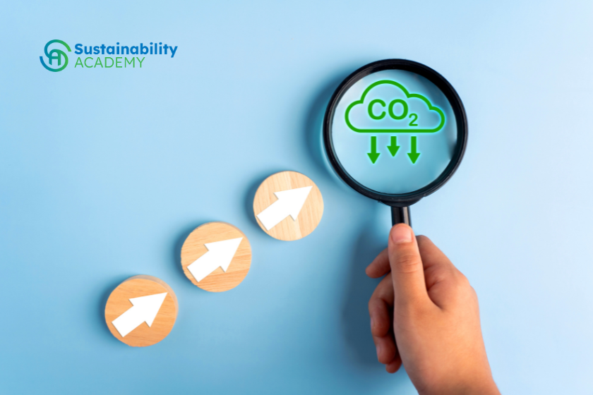 Carbon Reduction Strategy Training