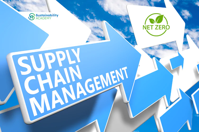 How to Embed Net Zero Strategies Across Your Supply Chain