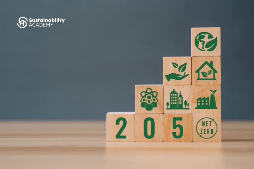 Net Zero Investment Flows Where Conditions Are Right
