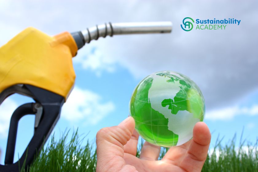 Green Fuels Are Here: How Training Can Prepare Maritime Professionals
