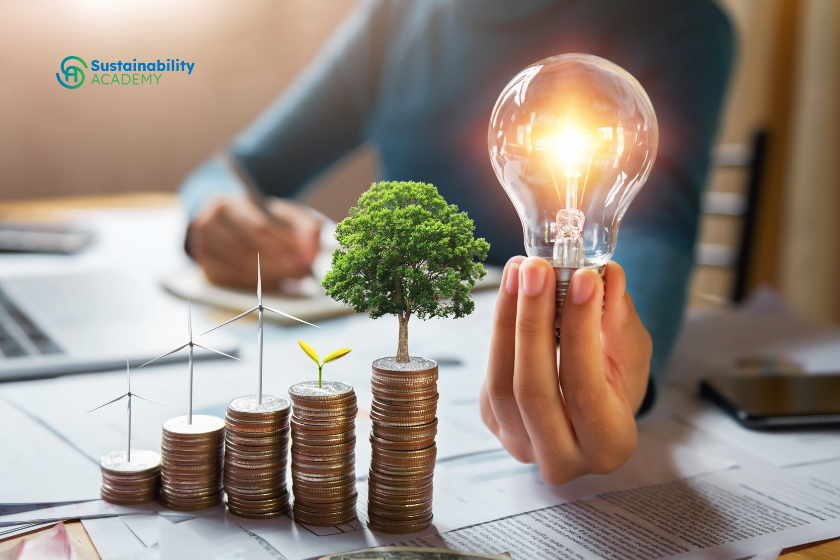 online sustainability course bundle
