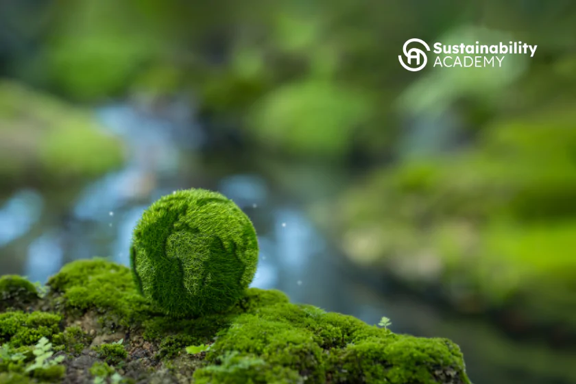 aligning culture and ESG