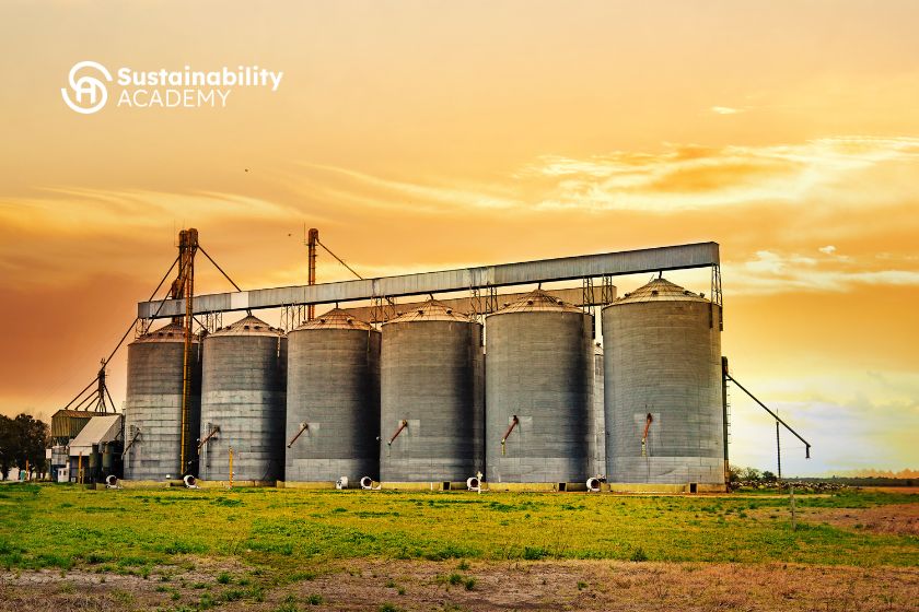 Por qué es importante eliminar los silos en las prácticas de sostenibilidad