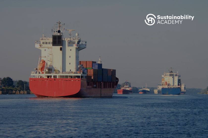 Are We Overlooking the Skills Driving Maritime Decarbonization