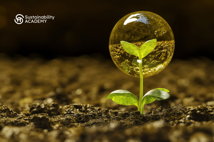 Sostenibilidad resiliencia profesional