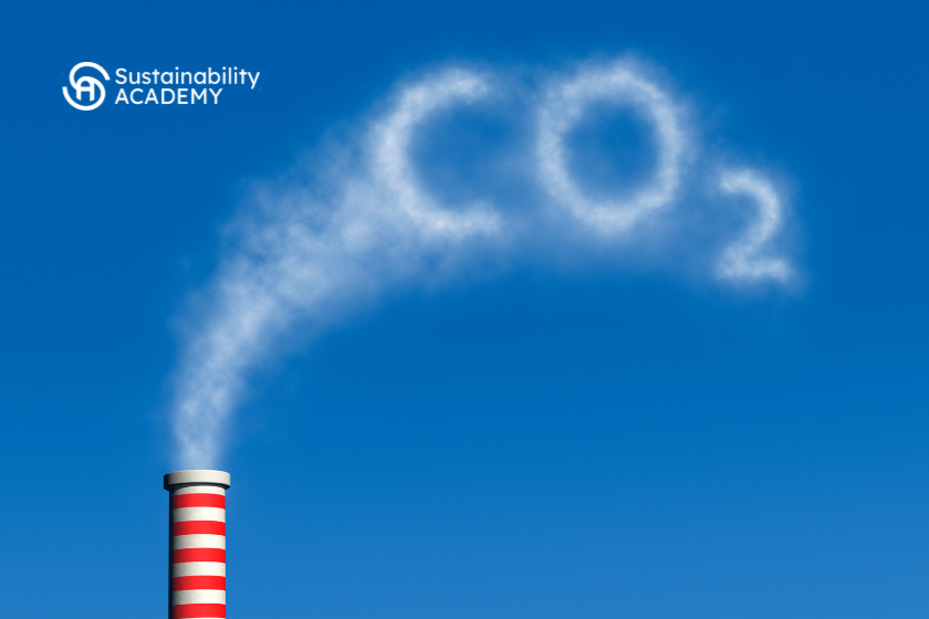 Del precio del carbono a la estrategia empresarial: Repensar el valor de la naturaleza en las decisiones empresariales