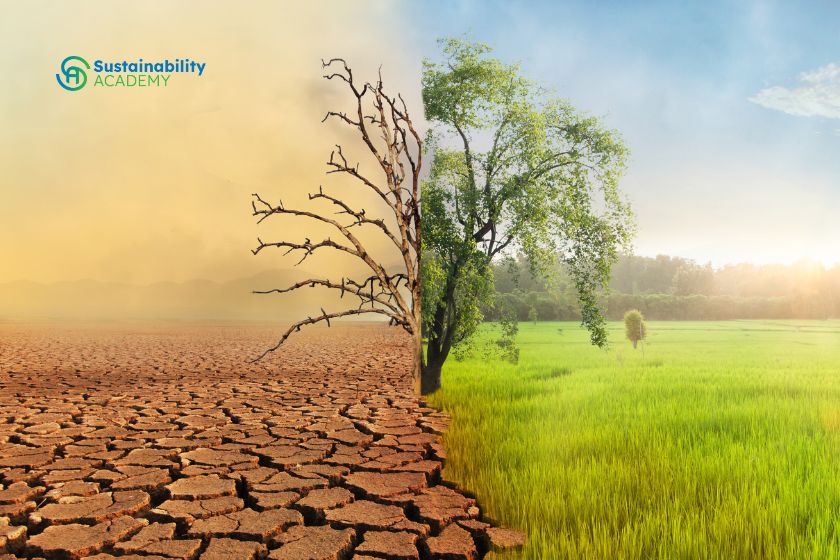 ¿Qué hace que una empresa aborde los riesgos climáticos?