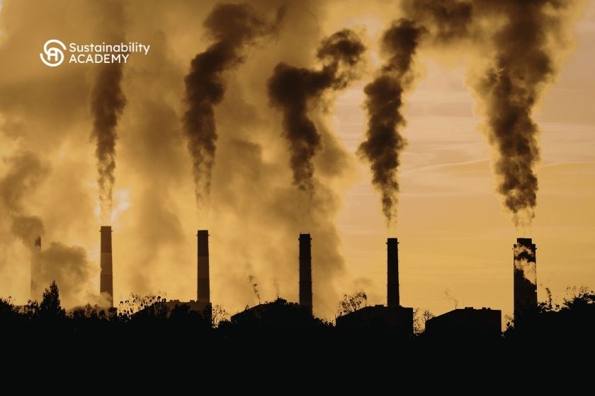 Simplificación de los informes de sostenibilidad sobre emisiones de carbono