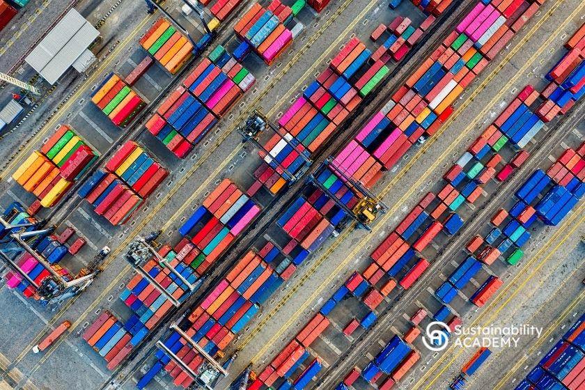 Sustainable Supply Chain Management: Key Insights and Strategies