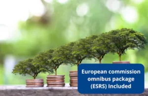 ESRS-CSRD-Normas incluidas
