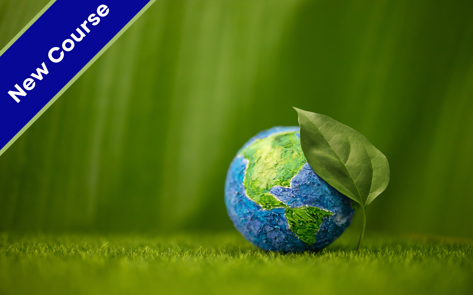Online Certificate on Biodiversity and TNFD Guidelines for Reporting