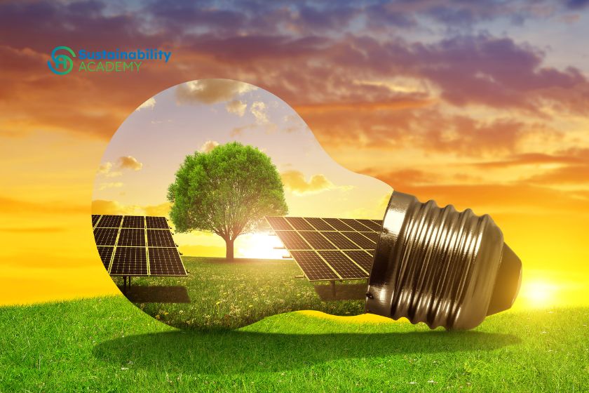Los expertos en energías renovables forjan el futuro